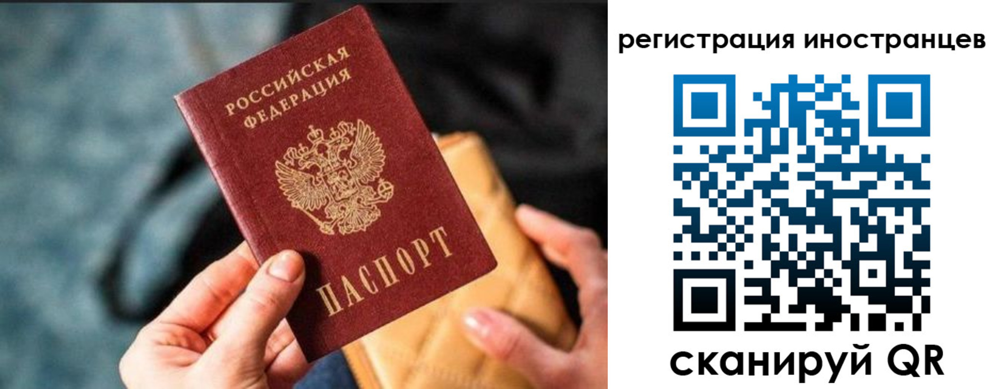 временная регистрация для всех в Курской области